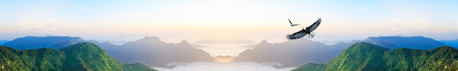 亚星官方登录入口